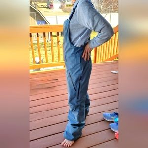 Patagonia Powder town bibs womens